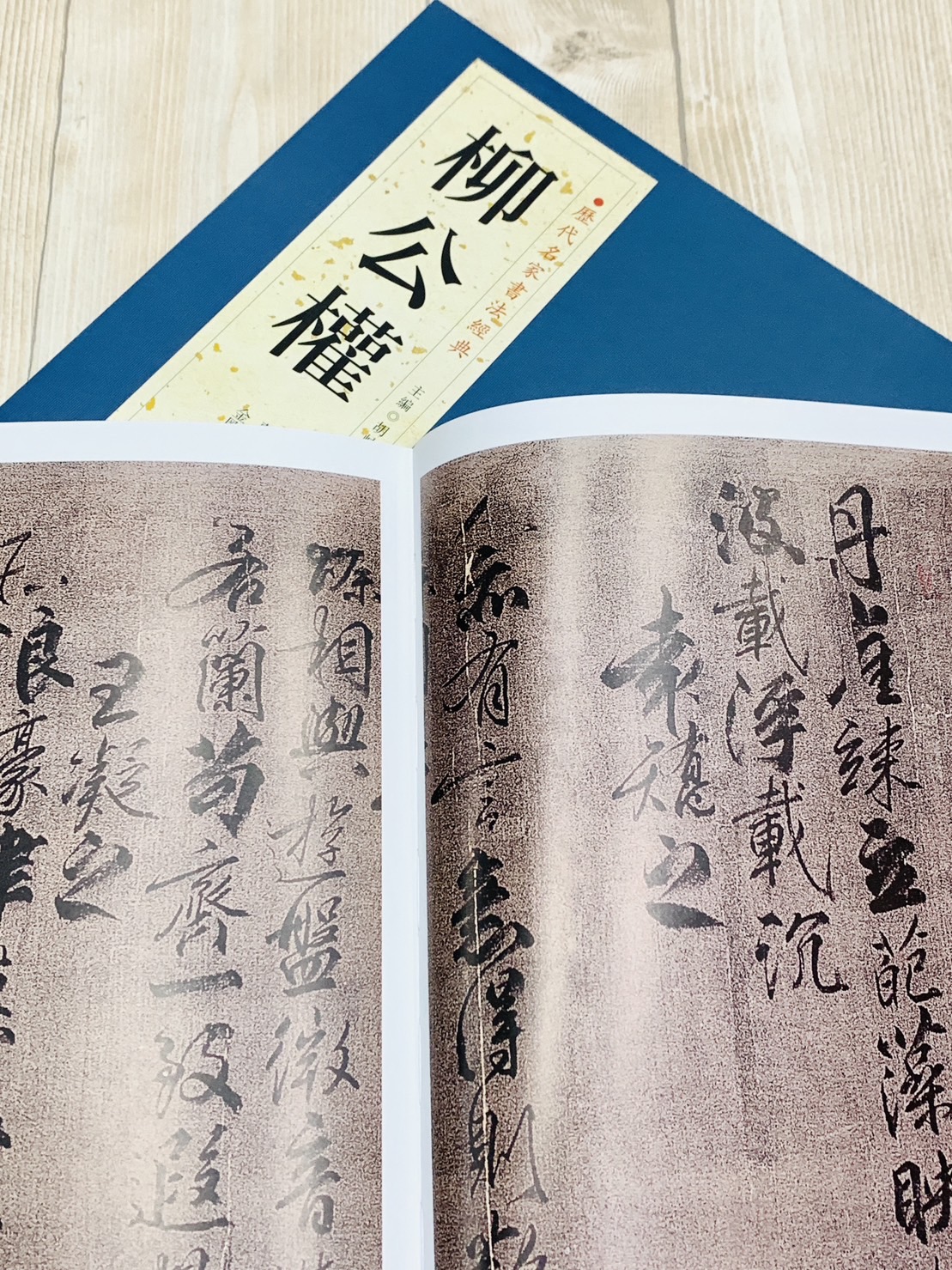 《歷代名家書法經典 柳公權》 胡峽江 中國書店