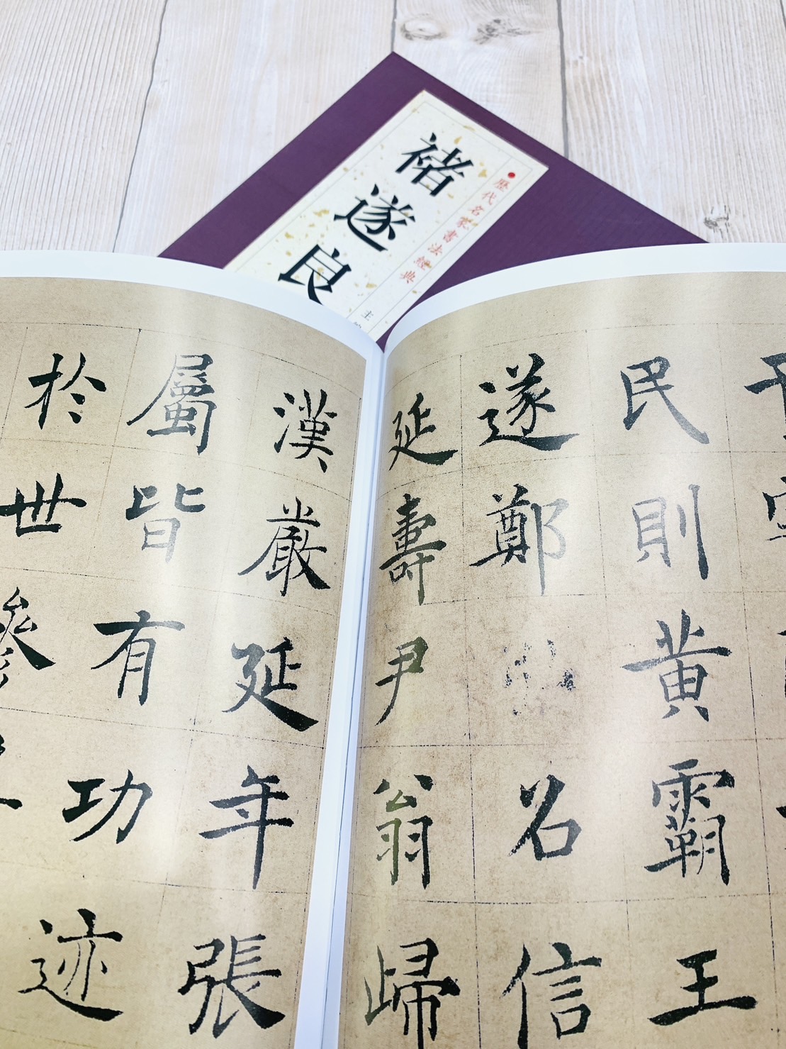   《褚遂良》 歷代名家書法經典 / 北京燕山