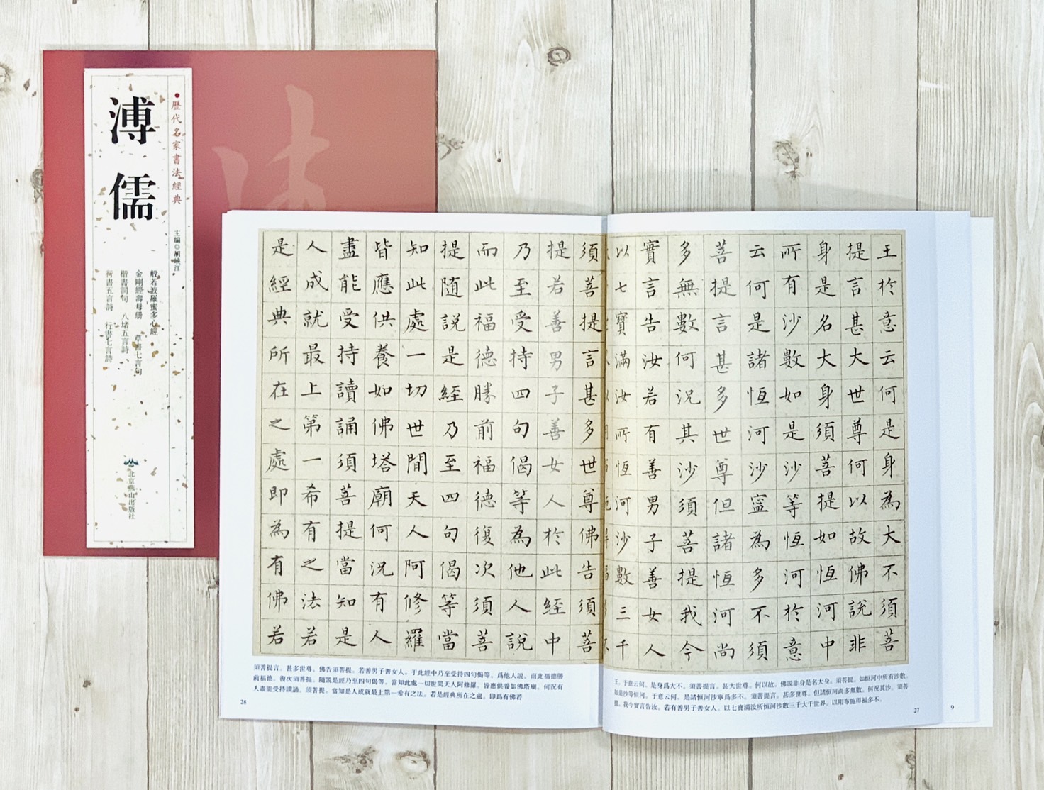   《溥儒》 歷代名家書法經典 / 北京燕山