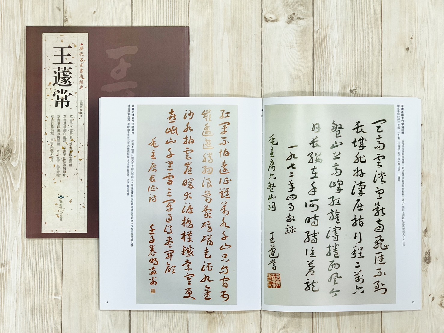   《王蘧常》 歷代名家書法經典 / 中國書局   