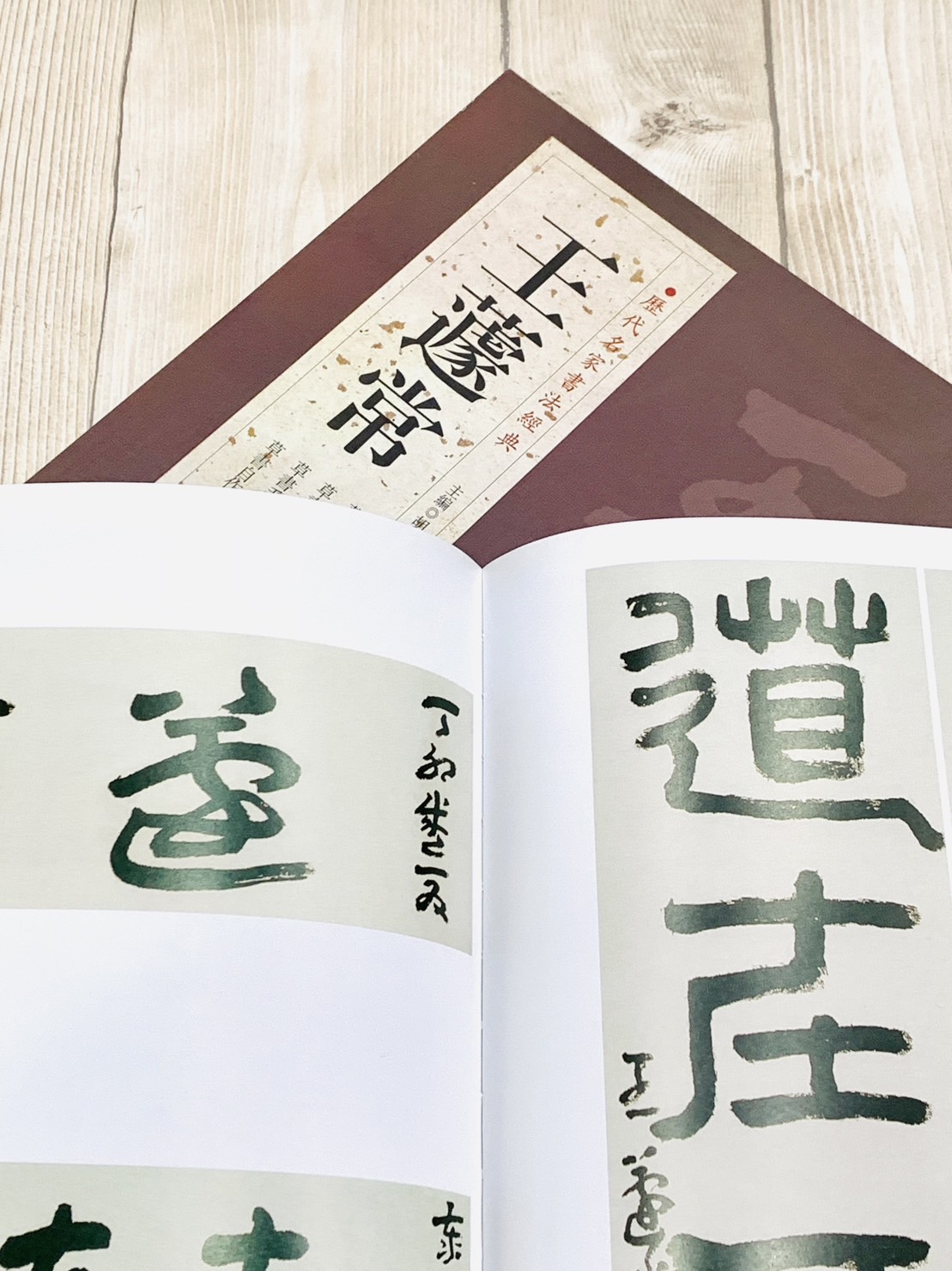   《王蘧常》 歷代名家書法經典 / 中國書局   