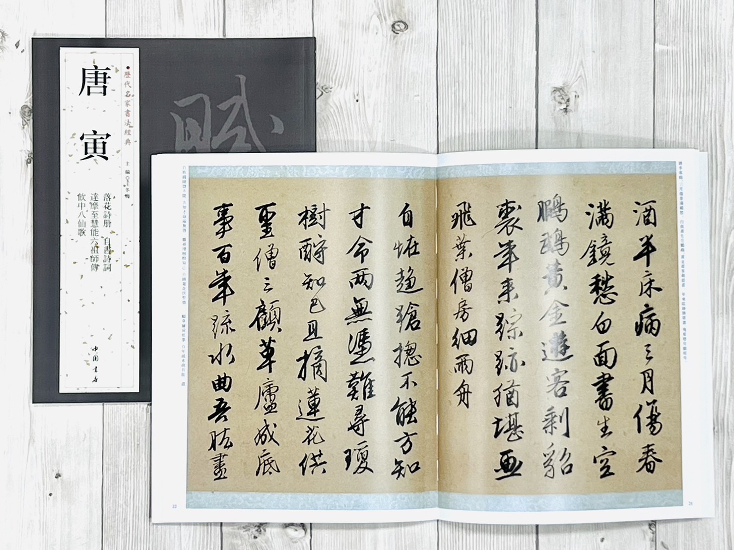 《唐寅》歷代名家書法經典 / 中國書局   