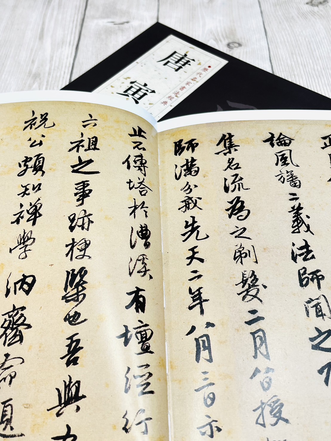 《唐寅》歷代名家書法經典 / 中國書局   