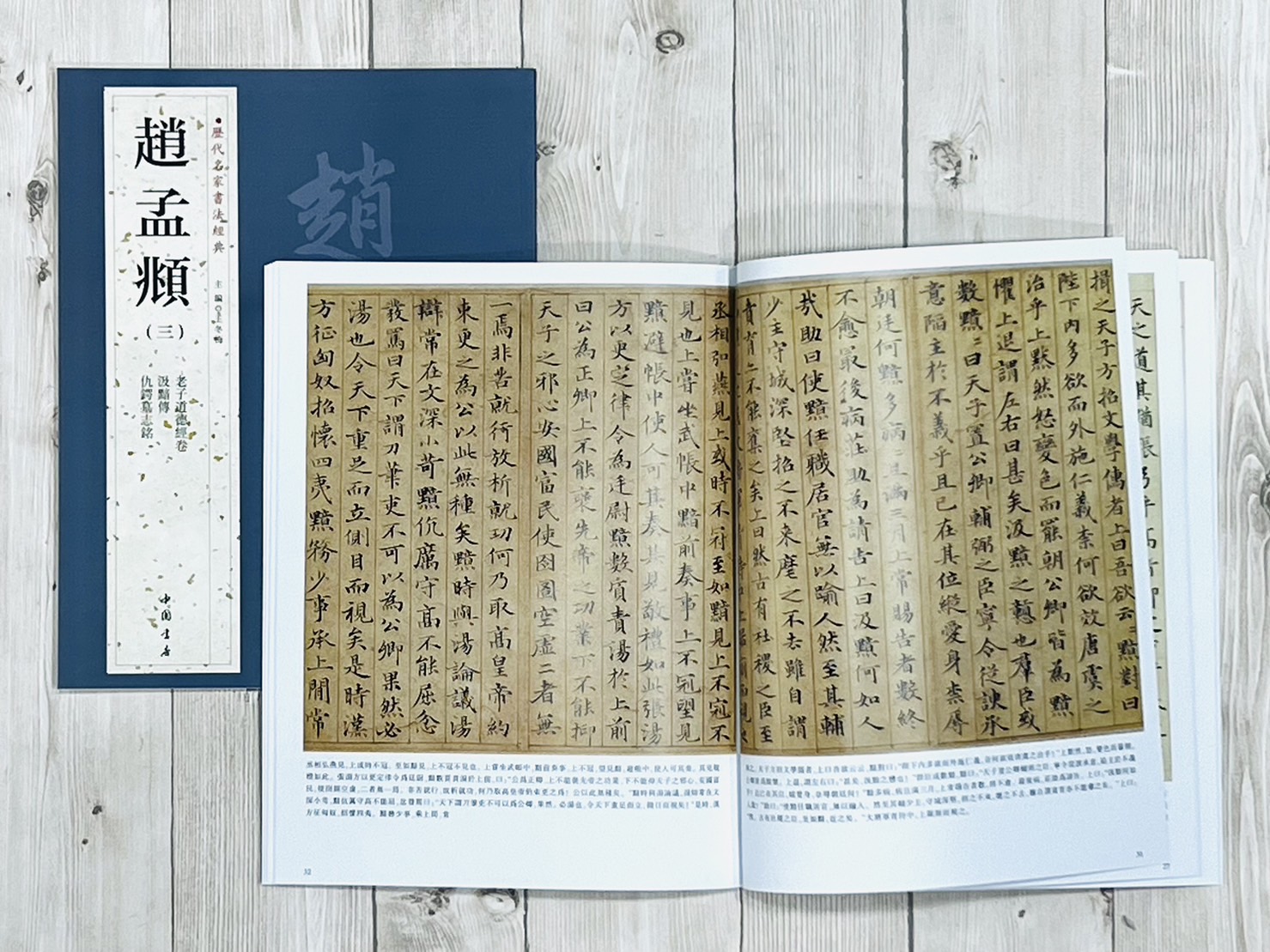   《趙孟頫 (三)》 歷代名家書法經典 / 中國書店   