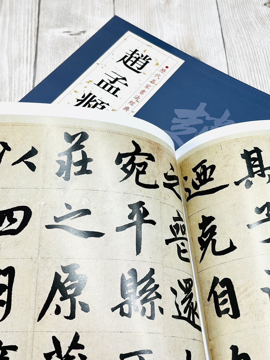   《趙孟頫 (三)》 歷代名家書法經典 / 中國書店   