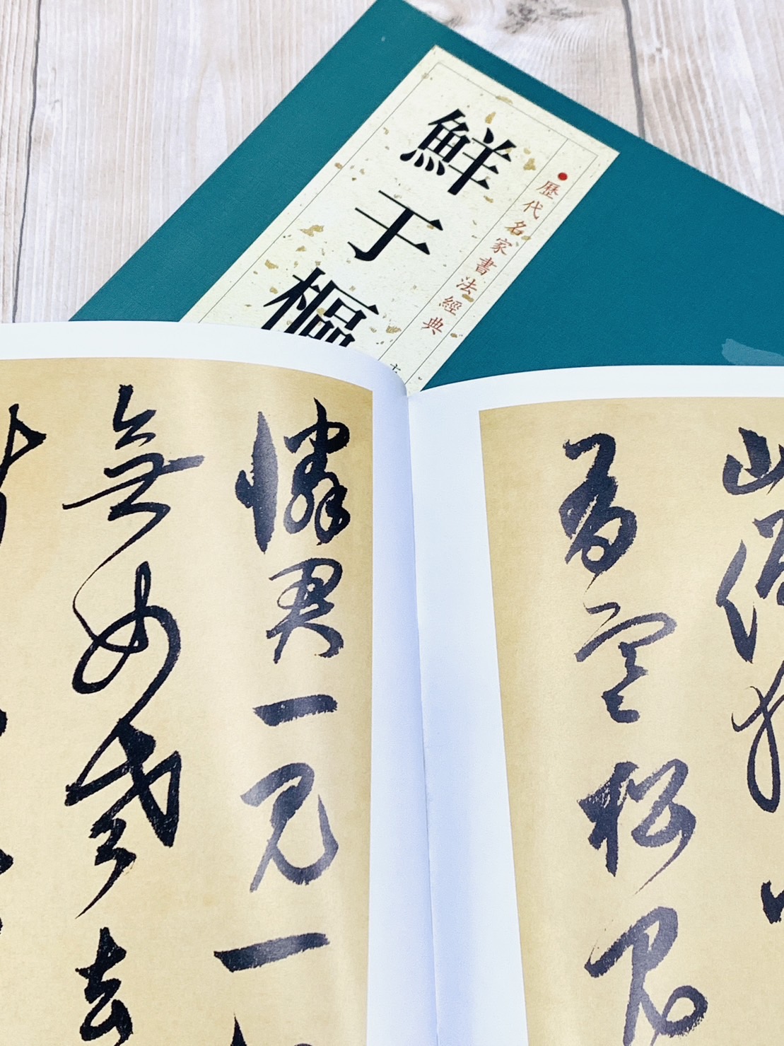 《歷代名家書法經典 鮮于樞》 王冬梅 中國書店