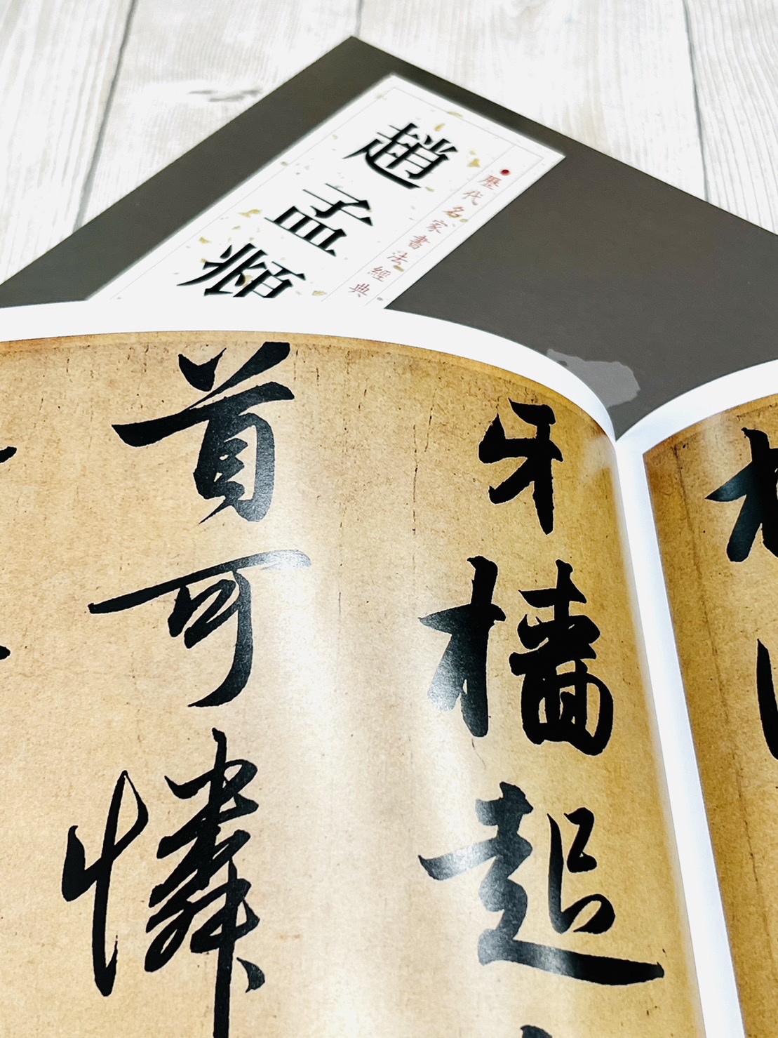   《趙孟頫 (二)》 歷代名家書法經典 / 中國書店