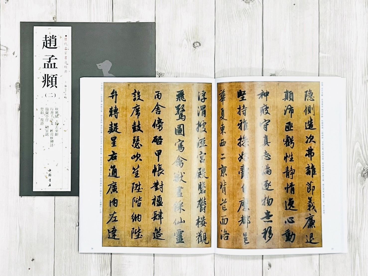   《趙孟頫 (二)》 歷代名家書法經典 / 中國書店
