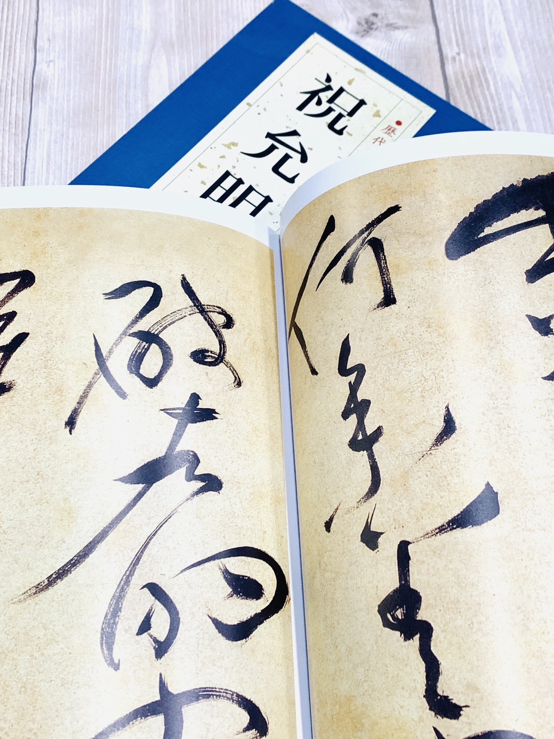 《祝允明》歷代名家書法經典 / 中國書店