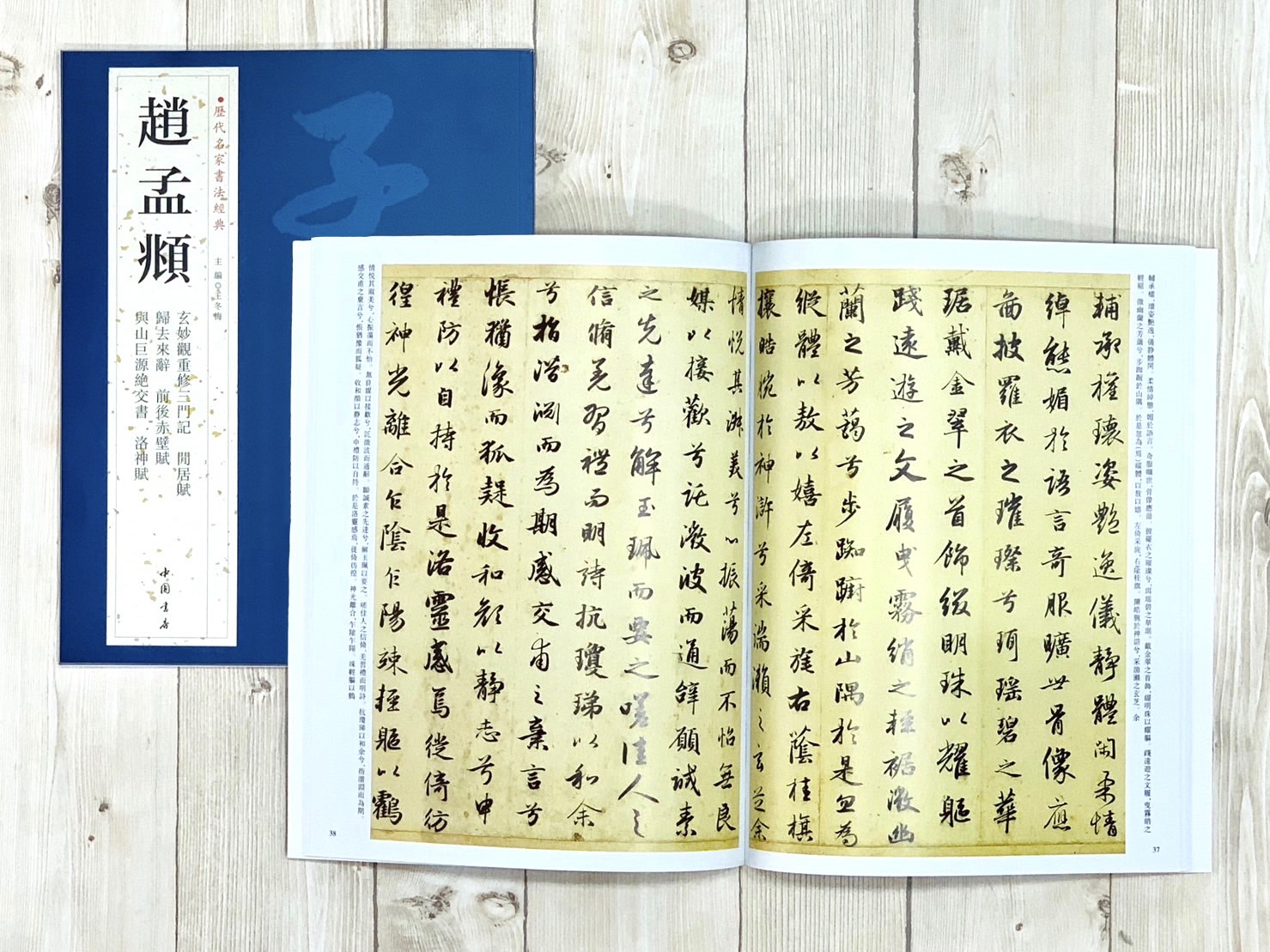  《趙孟頫》 歷代名家書法經典 / 中國書店   
