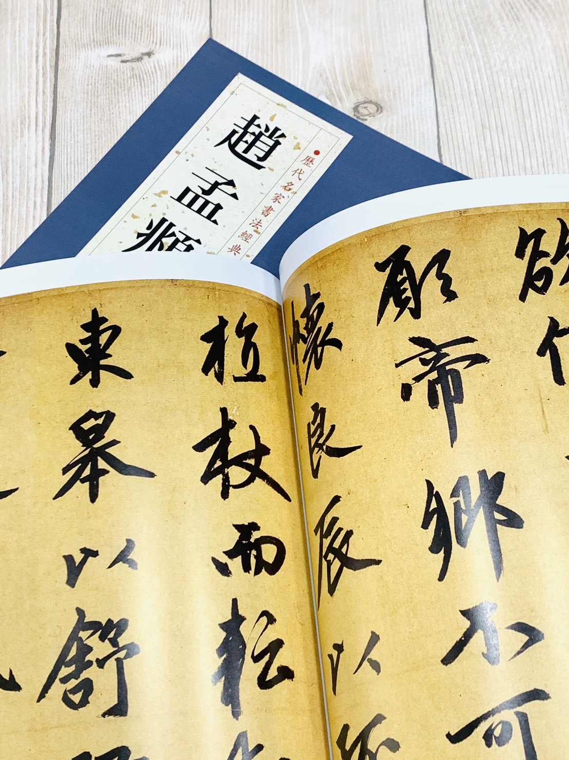   《趙孟頫》 歷代名家書法經典 / 中國書店   