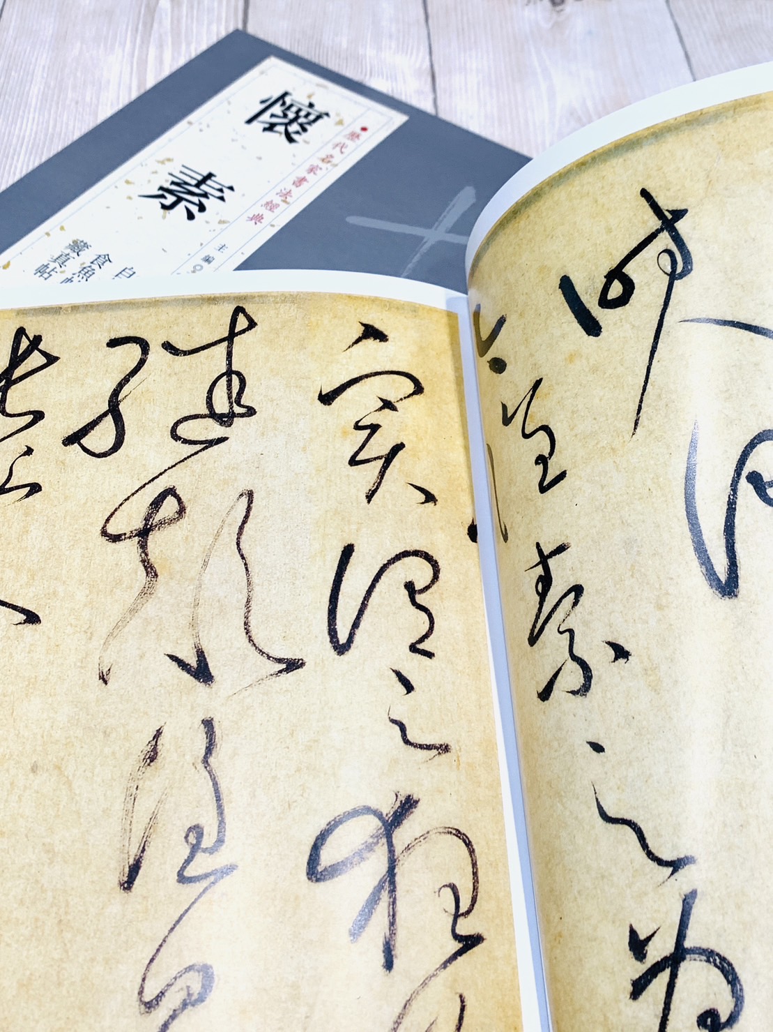   《懷素》 歷代名家書法經典 / 中國書局   