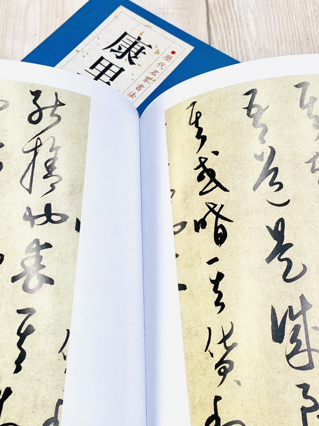  《康里巎巎》歷代名家書法經典 / 中國書店