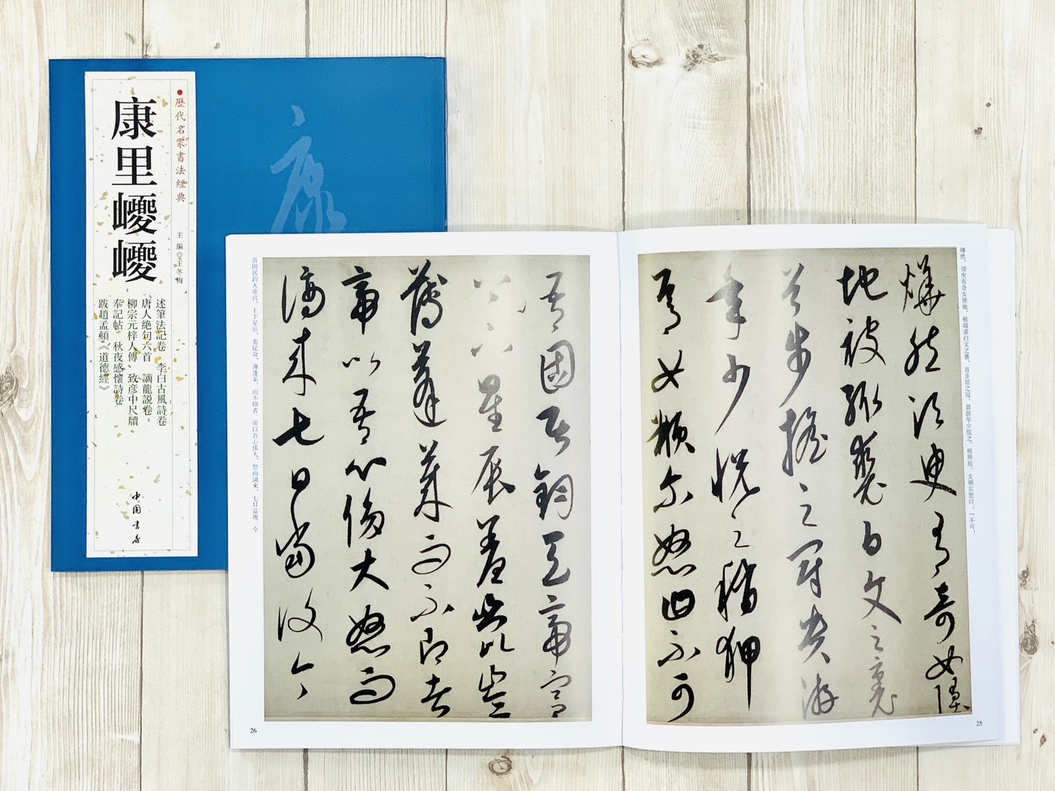  《康里巎巎》歷代名家書法經典 / 中國書店
