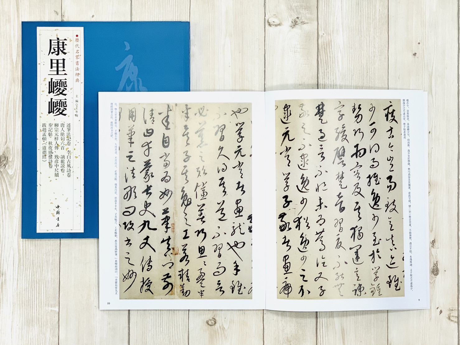  《康里巎巎》歷代名家書法經典 / 中國書店