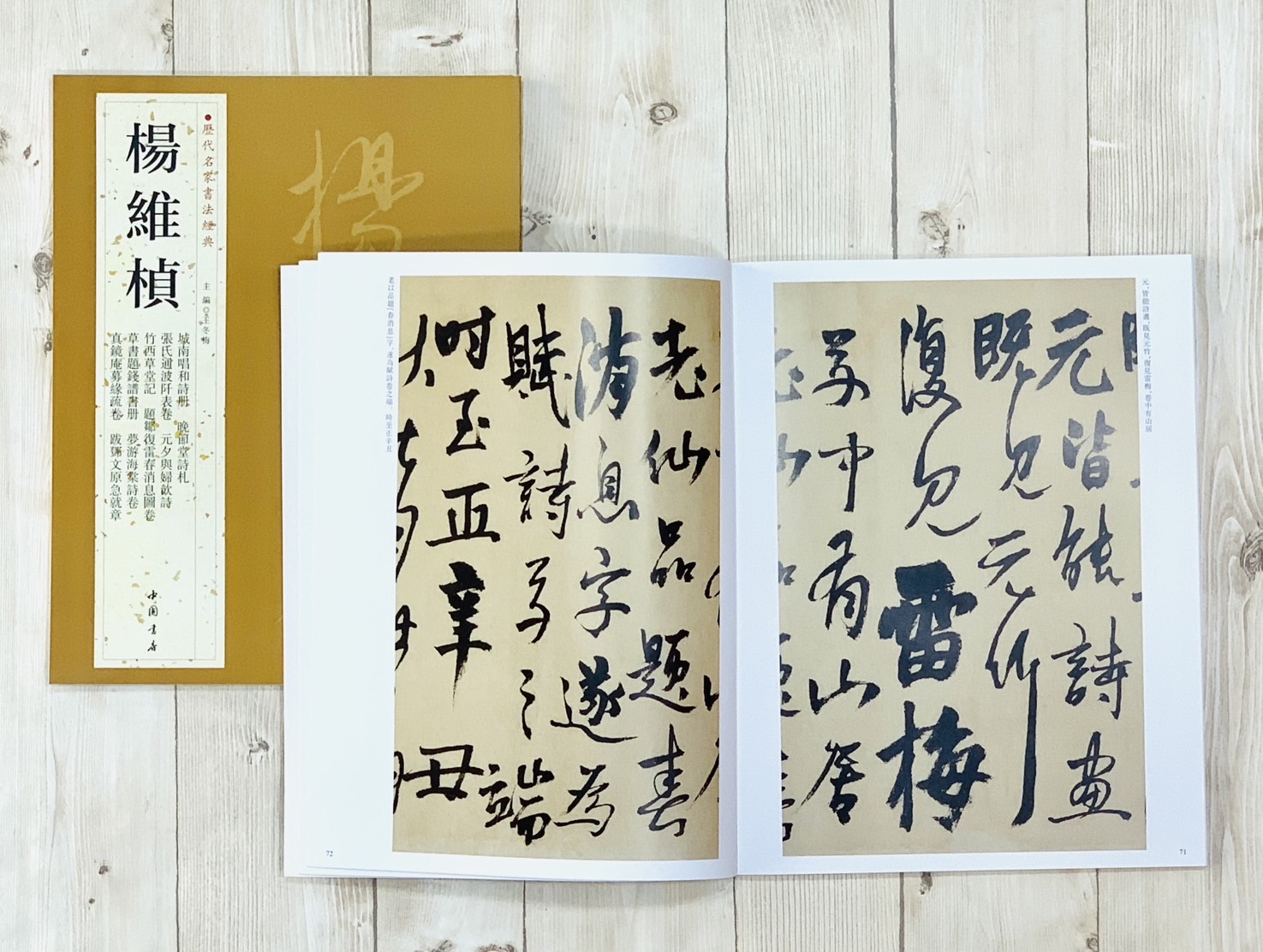 《楊維楨》歷代名家書法經典 / 中國書店