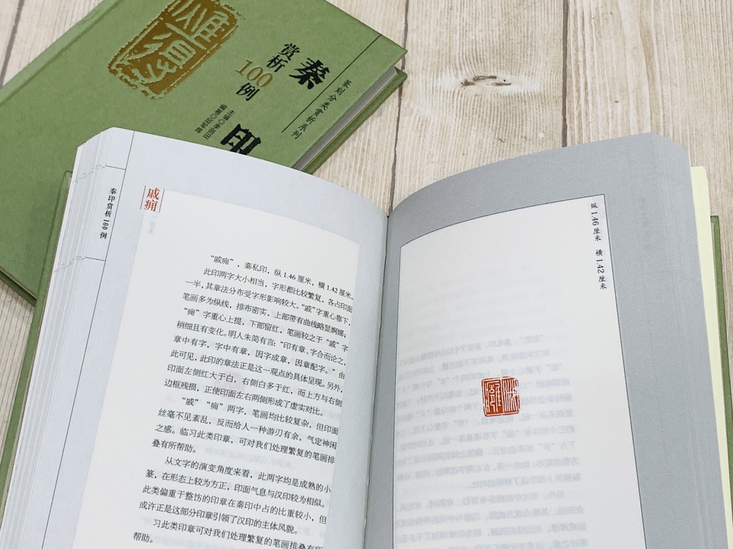 《秦印 賞析100例》篆刻分類賞析系列  李剛田 江西美術出版社