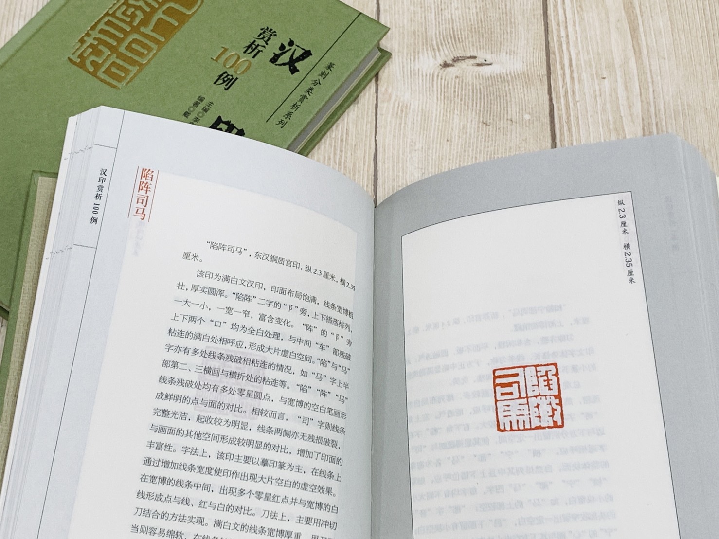 《漢印 賞析100例》篆刻分類賞析系列  李剛田 主編  江西美術出版社