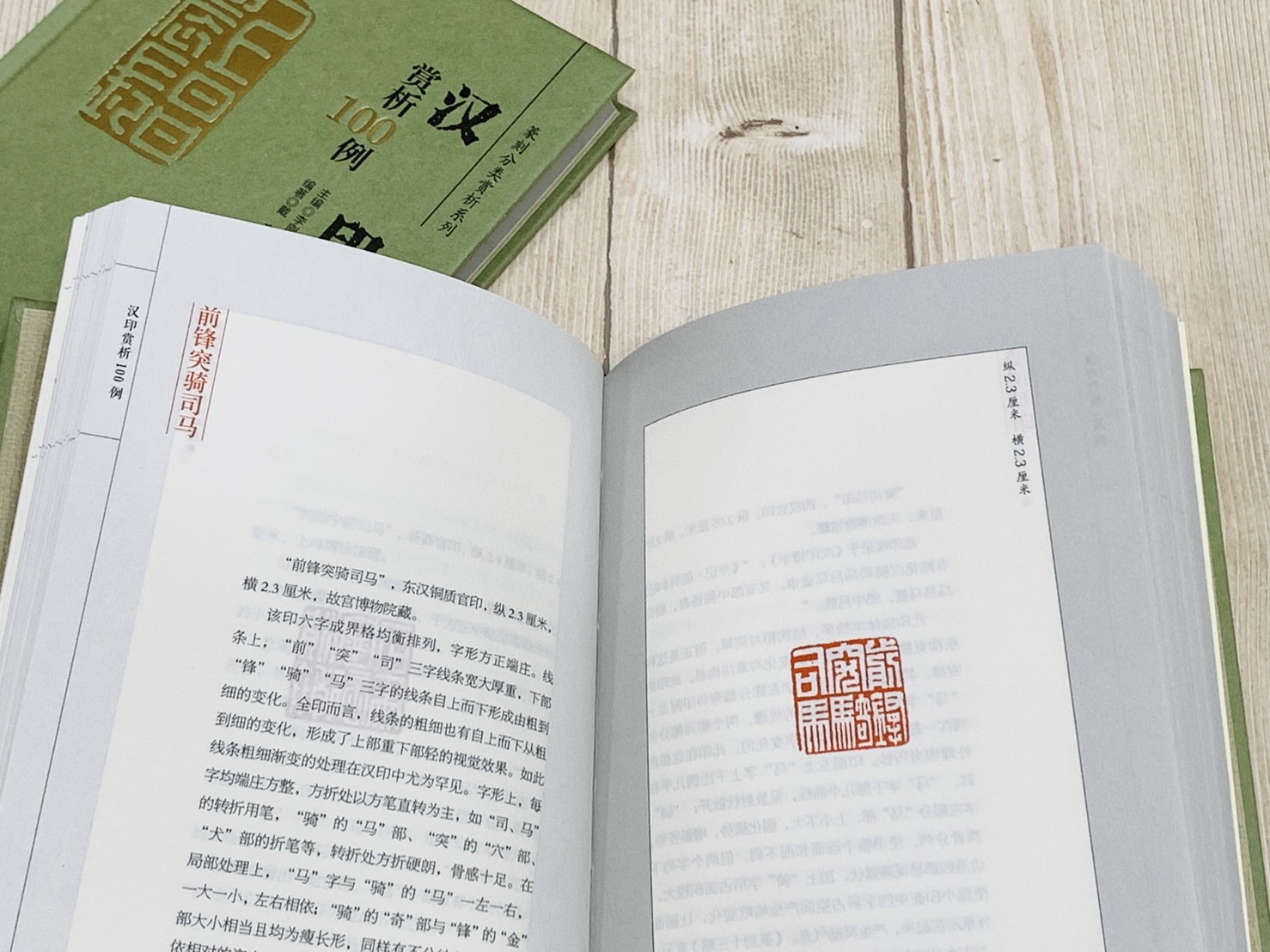 《漢印 賞析100例》篆刻分類賞析系列  李剛田 主編  江西美術出版社