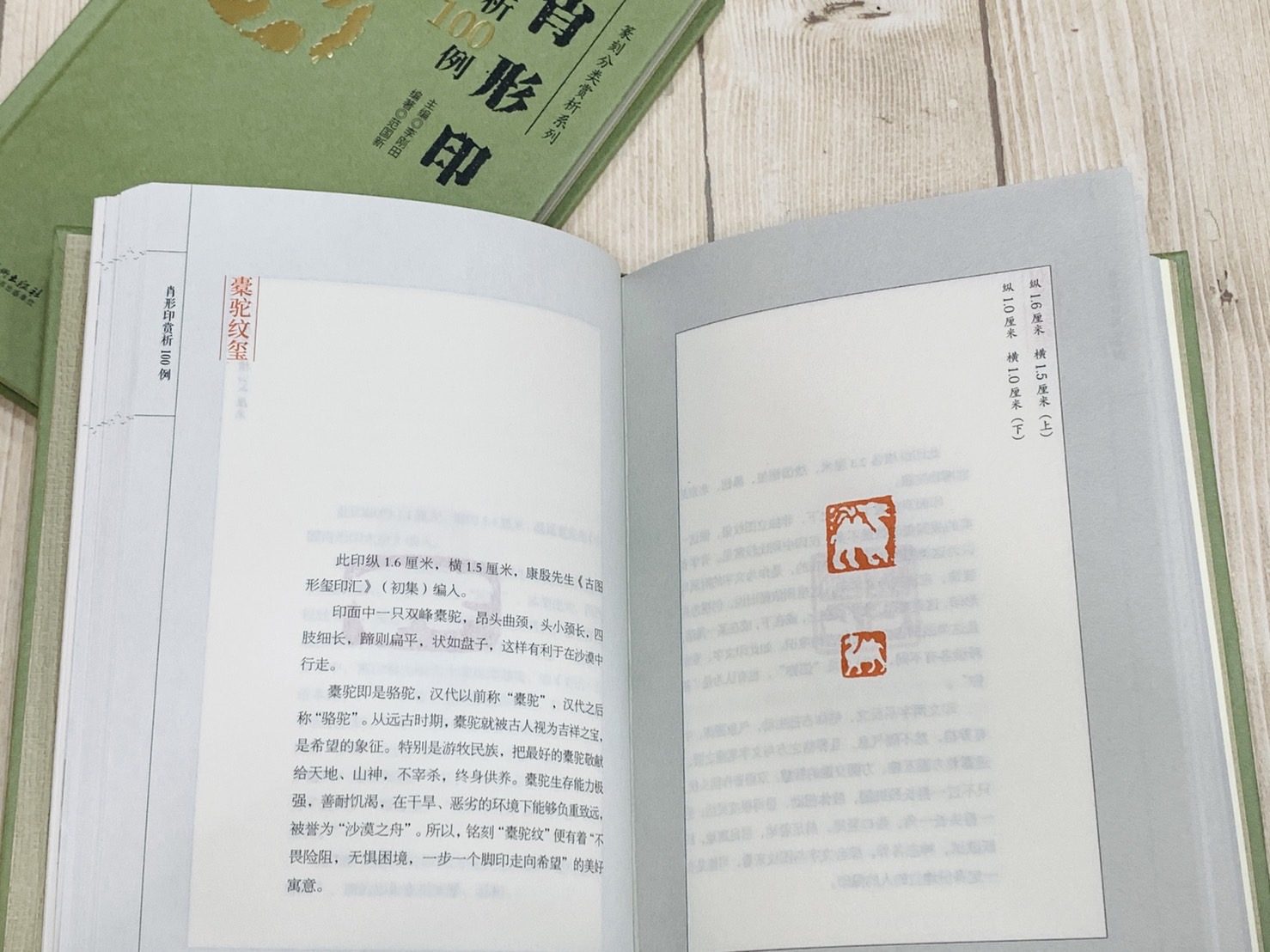 《肖形印 賞析100例》篆刻分類賞析系列 李剛田 主編 江西美術出版社
