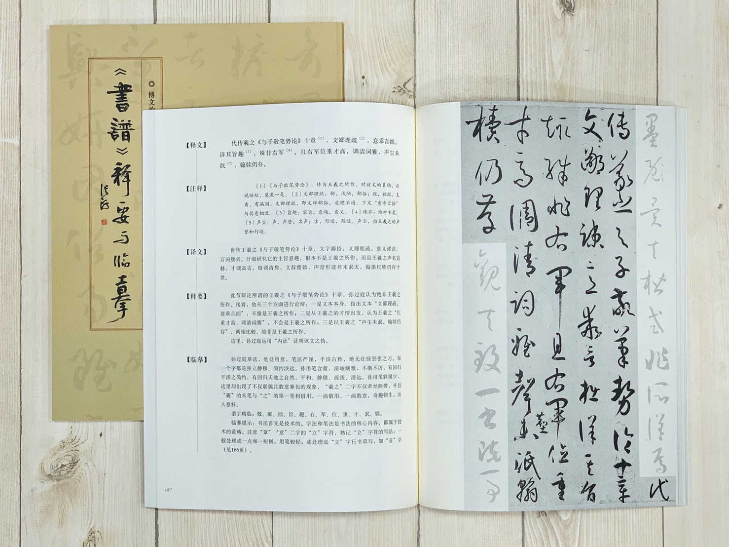 《書譜》釋要與臨摹 傅文治主編 河南美術出版社