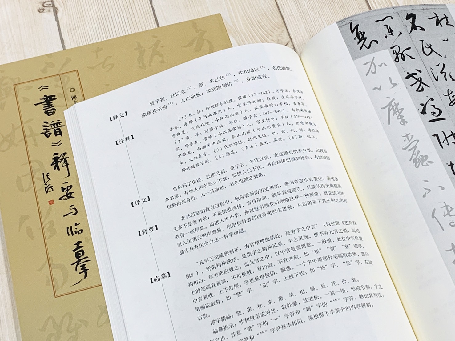 《書譜》釋要與臨摹 傅文治主編 河南美術出版社
