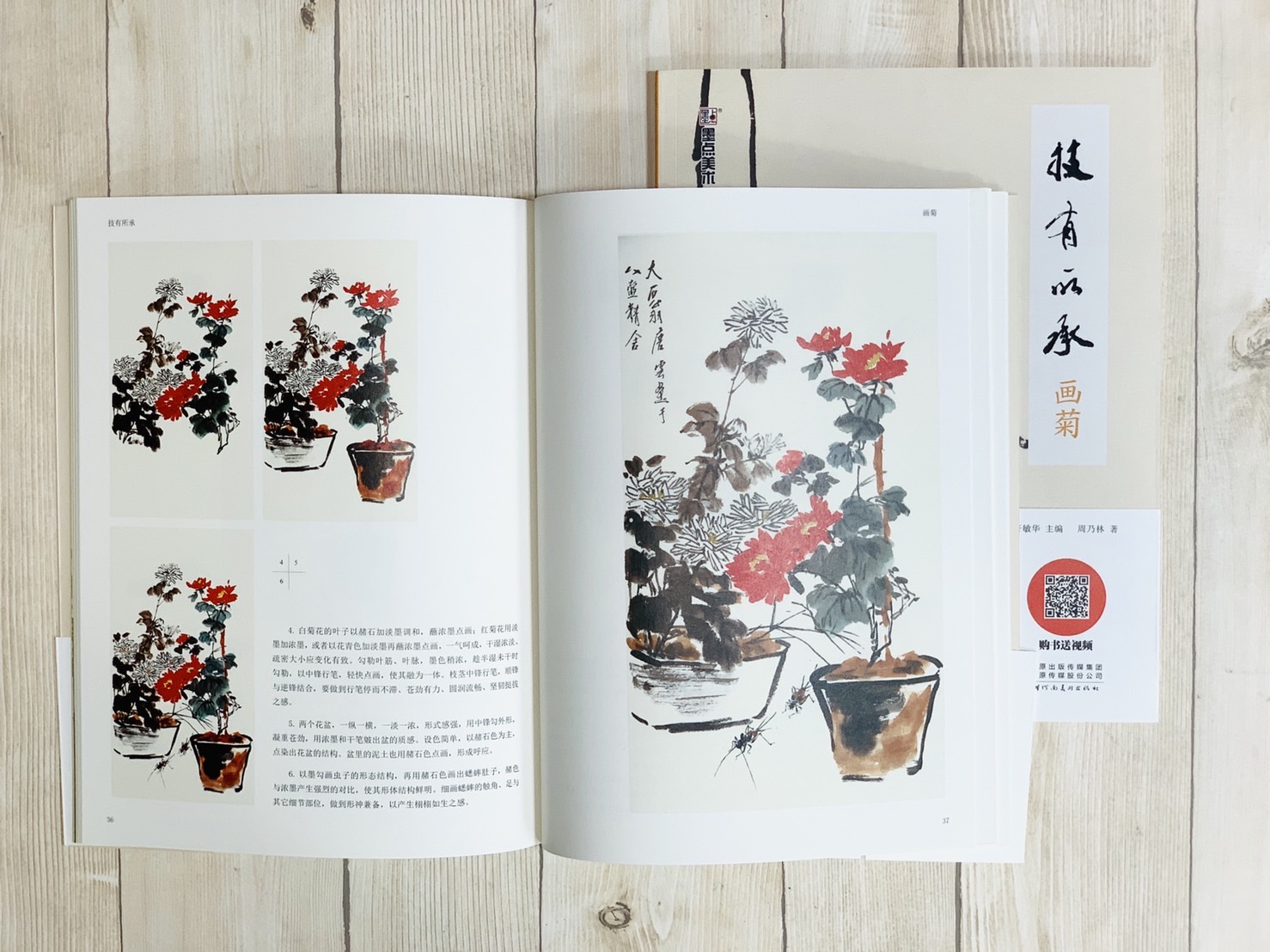 《畫菊 技有所承系列》  軒敏華 主編  河南美術出版社