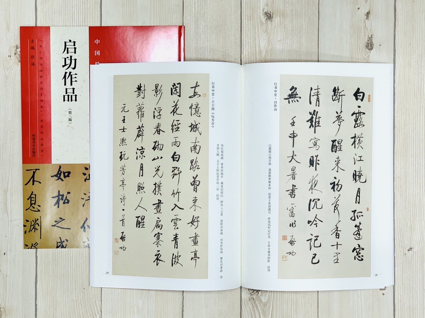 《啓功作品》中國最具代表性書法作品系列  張海主編