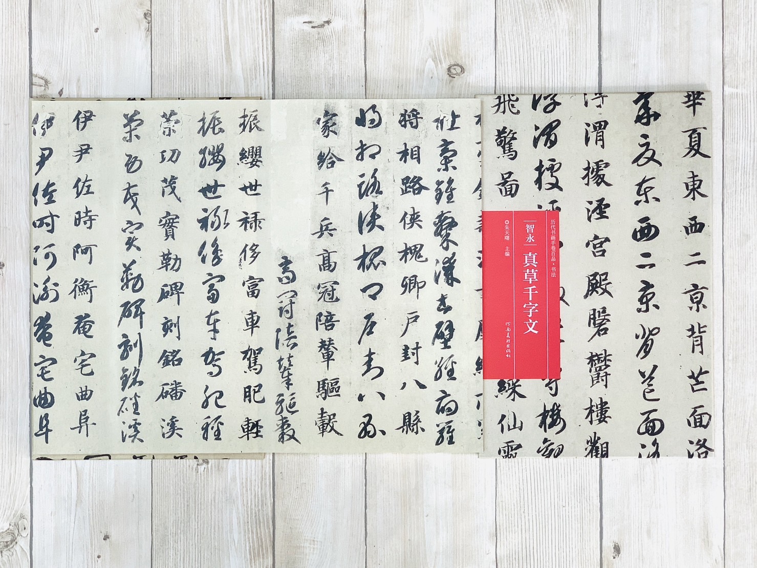 《智永·真草千字文》歷代書畫手卷百品·書法 河南美術出版出版 朱天曙 編
