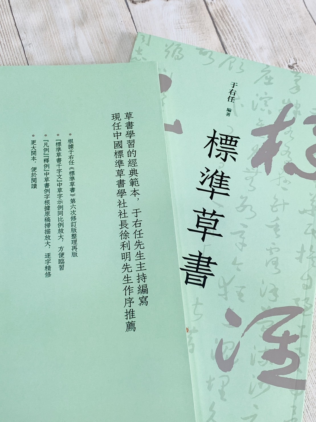 《標準草書》放大版 上海書畫出版社 于右任 編著