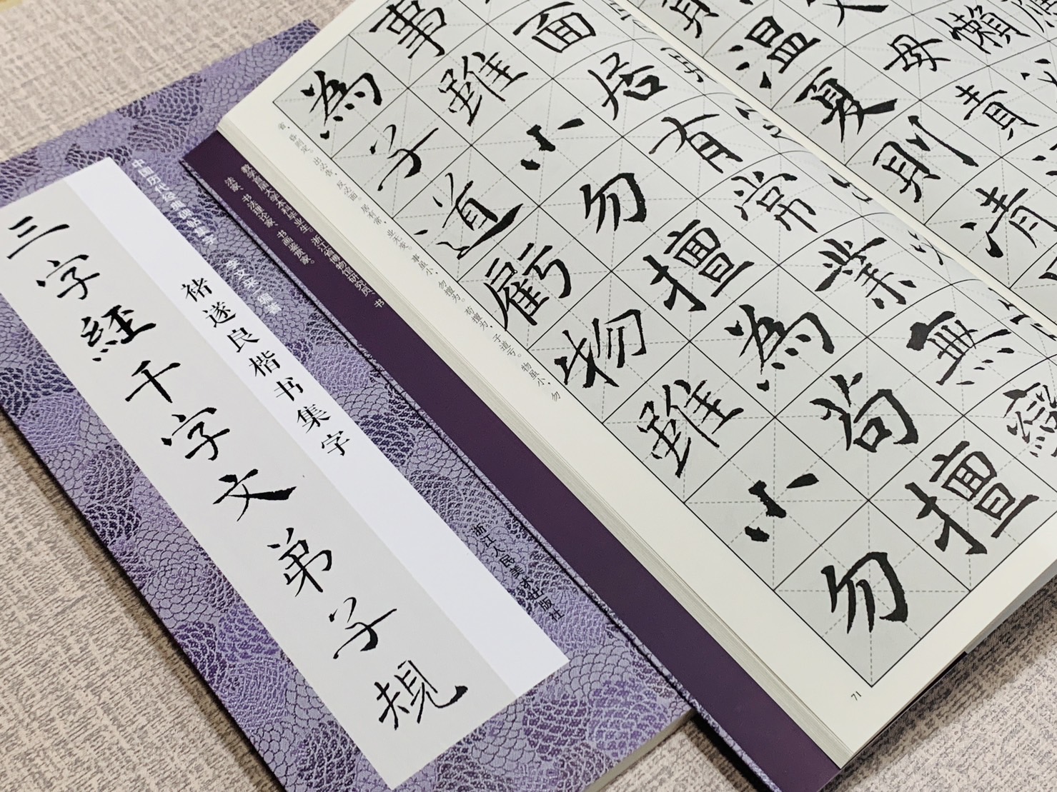 《褚遂良楷書集字三字經千字文弟子規》中國歷代經典碑帖集字 李文采 編 浙江人民美術出版社