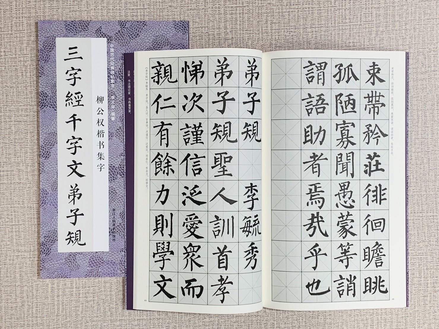 《柳公權書集字三字經千字文弟子規》中國歷代經典碑帖集字 李文采 浙江人民美術