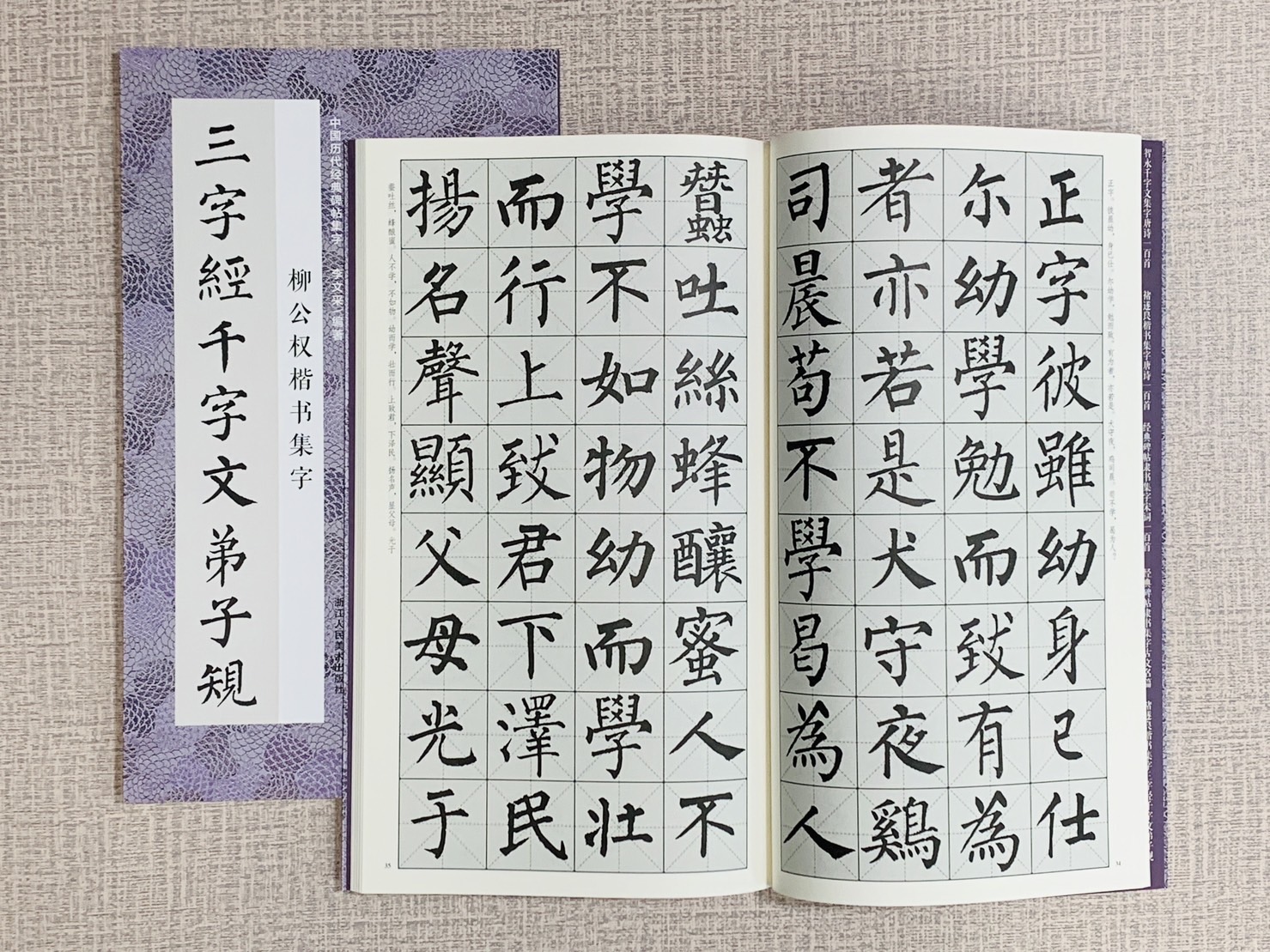《柳公權書集字三字經千字文弟子規》中國歷代經典碑帖集字 李文采 浙江人民美術