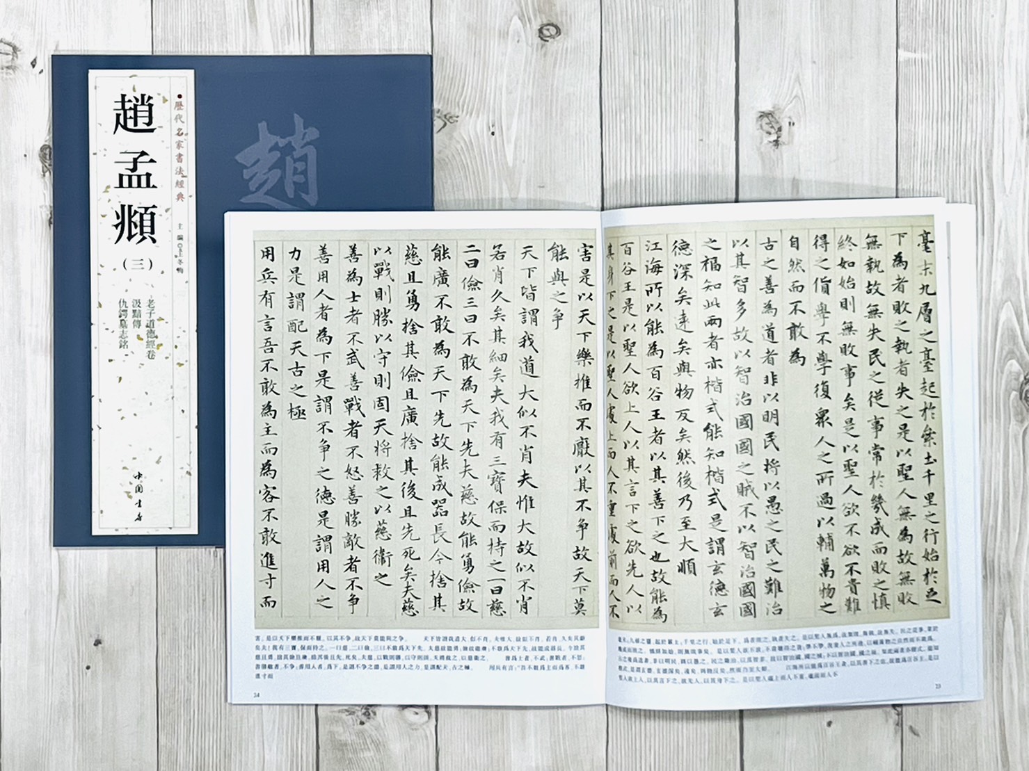 《趙孟頫 (一套)》歷代名家書法經典 / 中國書店   