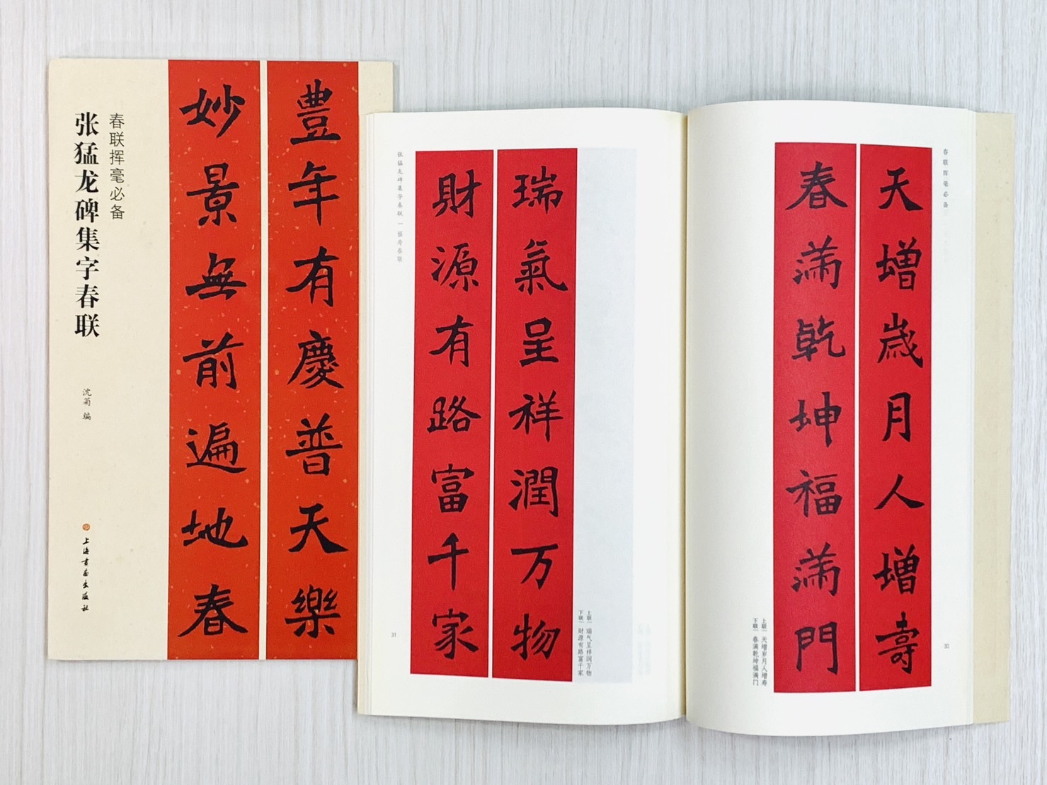 《張猛龍碑集字春聯》 春聯揮毫必備系列 上海書畫出版社