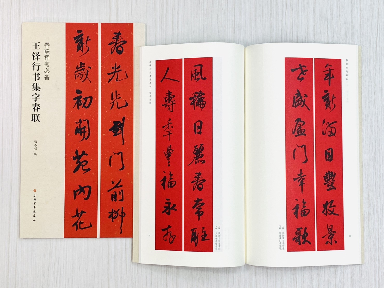 《王鐸行書集字春聯》 春聯揮毫必備系列 上海書畫出版社