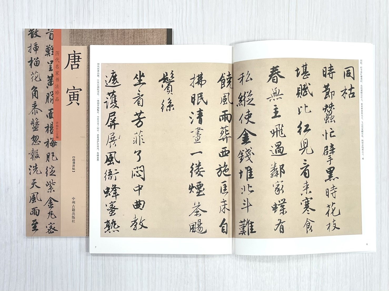 《歷代名家書法珍品 唐寅》  許裕長 中川古籍出版社