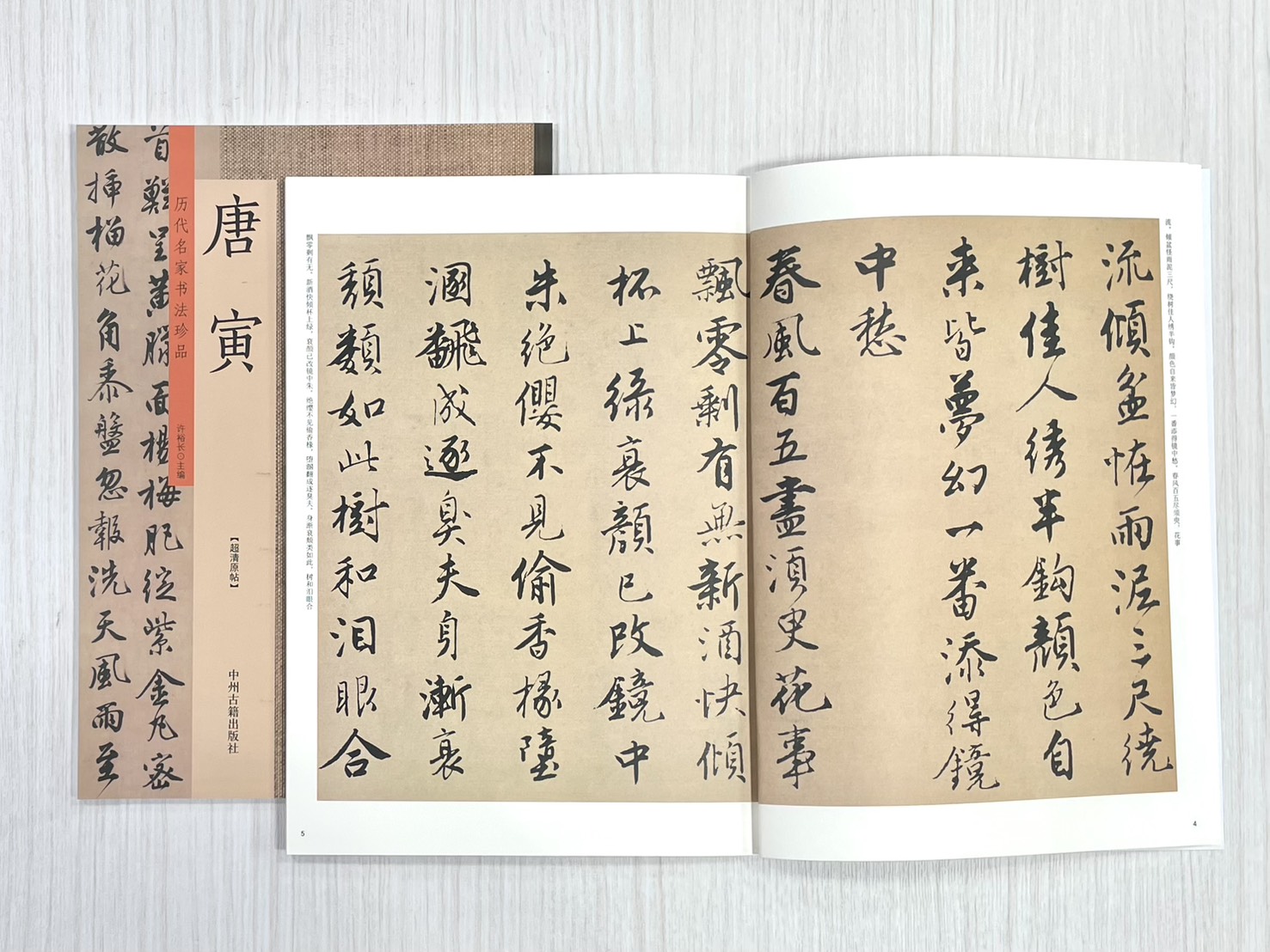 《歷代名家書法珍品 唐寅》  許裕長 中川古籍出版社