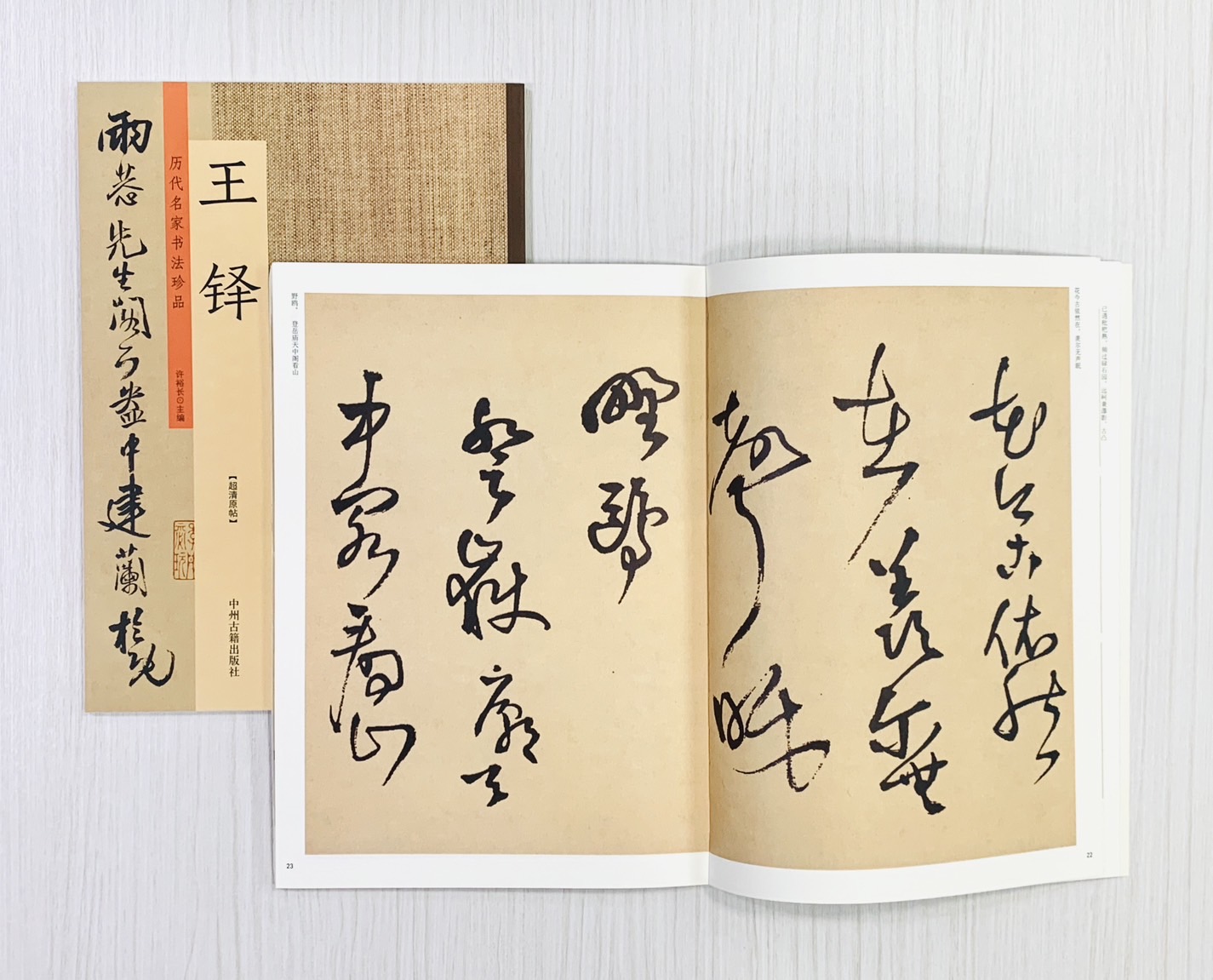 《歷代名家書法珍品 王鐸》 中州古籍出版社