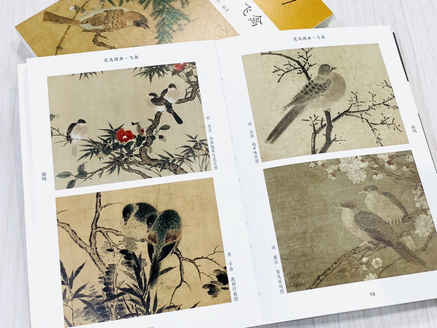 《新編大家畫案必備》河南美術 一套8本