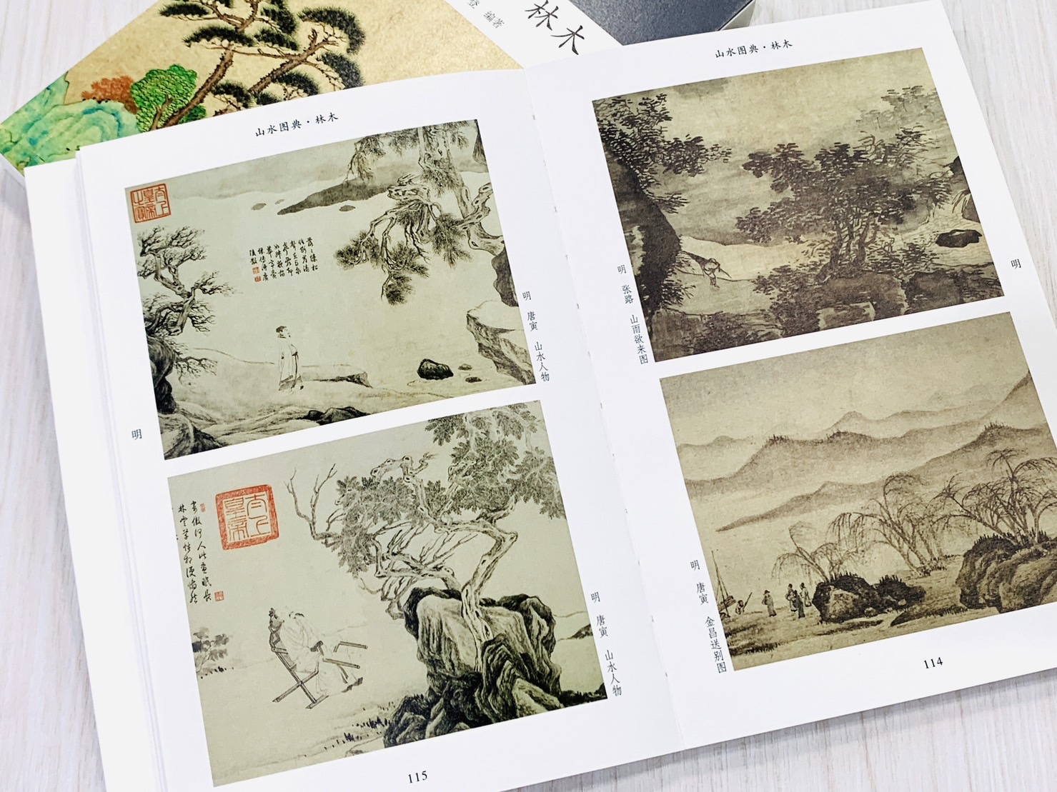《山水圖典·林木》05 新編大家畫案必備 河南美術出版社 劉洪海 潘登 編著