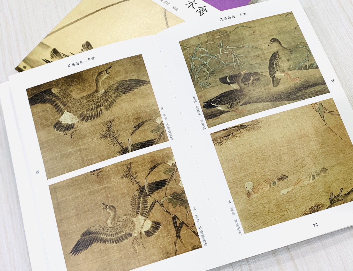 《花鳥圖典·水禽》06 新編大家畫案必備 河南美術出版社 陳文利 夏愛民 編著