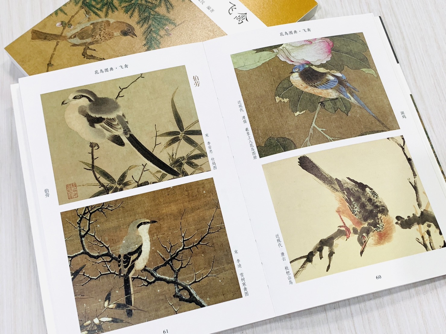 《花鳥圖典·飛禽》07 新編大家畫案必備  河南美術出版社  陳文利 夏愛民 編著