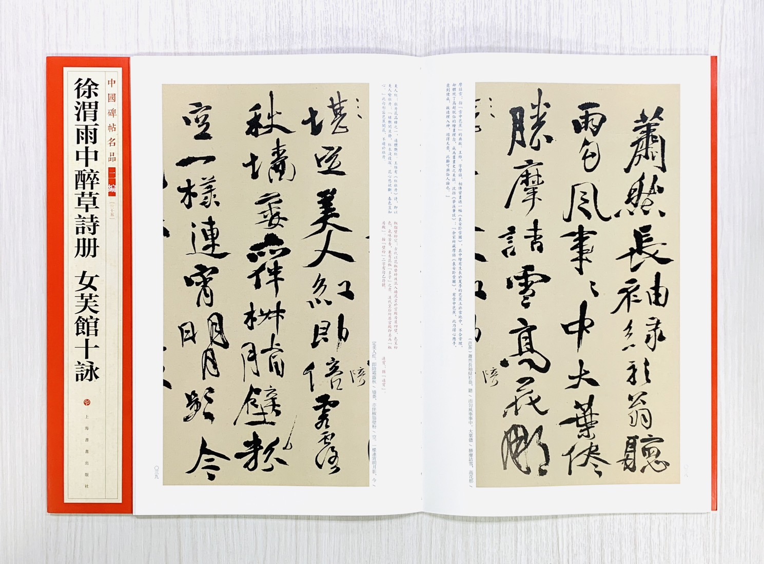 《徐渭雨中醉草詩冊 女芙館十詠》35 中國碑帖名品 二編 上海書畫出版社