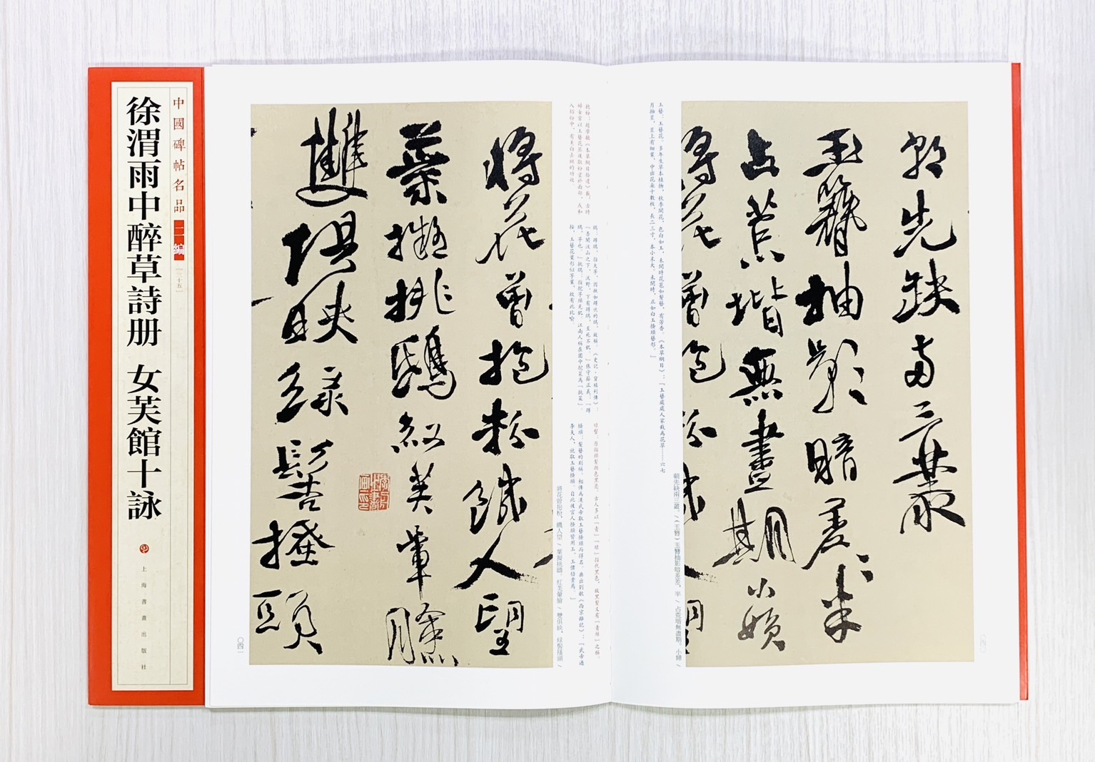 《徐渭雨中醉草詩冊 女芙館十詠》35 中國碑帖名品 二編 上海書畫出版社