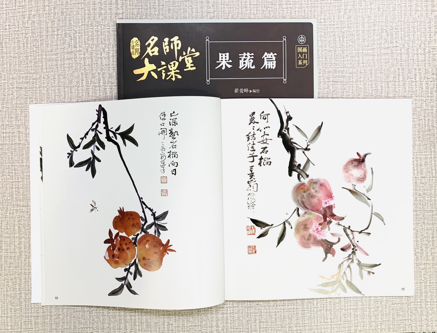 《果蔬篇》名師大課堂  江西美術出版社  翟俊峰 編繪