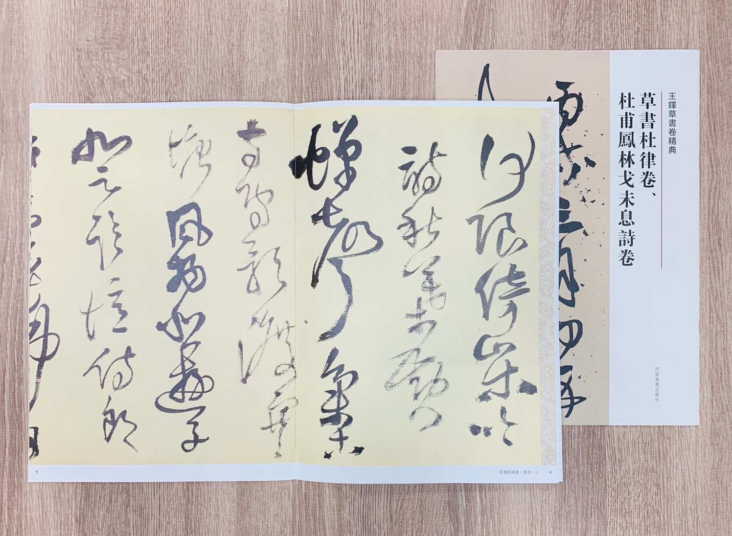 《王鐸草書卷經典 10本一套》字帖 書法 河南美術出版社