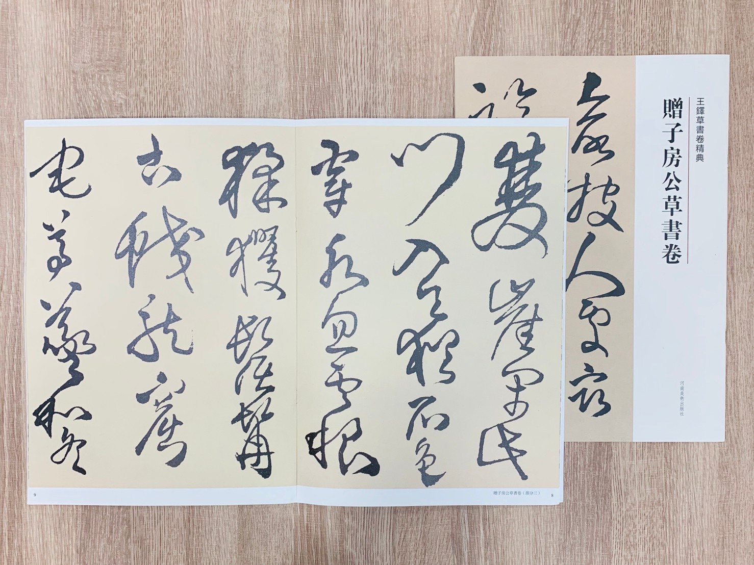 《王鐸草書卷經典 10本一套》字帖 書法 河南美術出版社