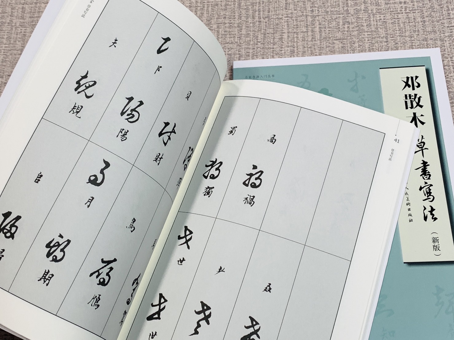 《鄧散木 草書寫法》新版 鄧散木 著 上海人民美術出版社