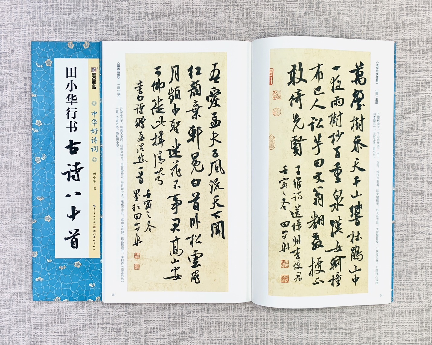 《田小華行書 古詩八十首》中國好詩詞 墨點字帖 田小華 書 湖北美術出版社